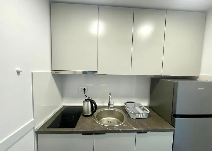 Lux 15 Historical Center Apartament *